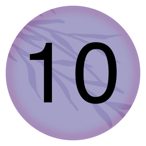 In-Person Session | 10 Classes